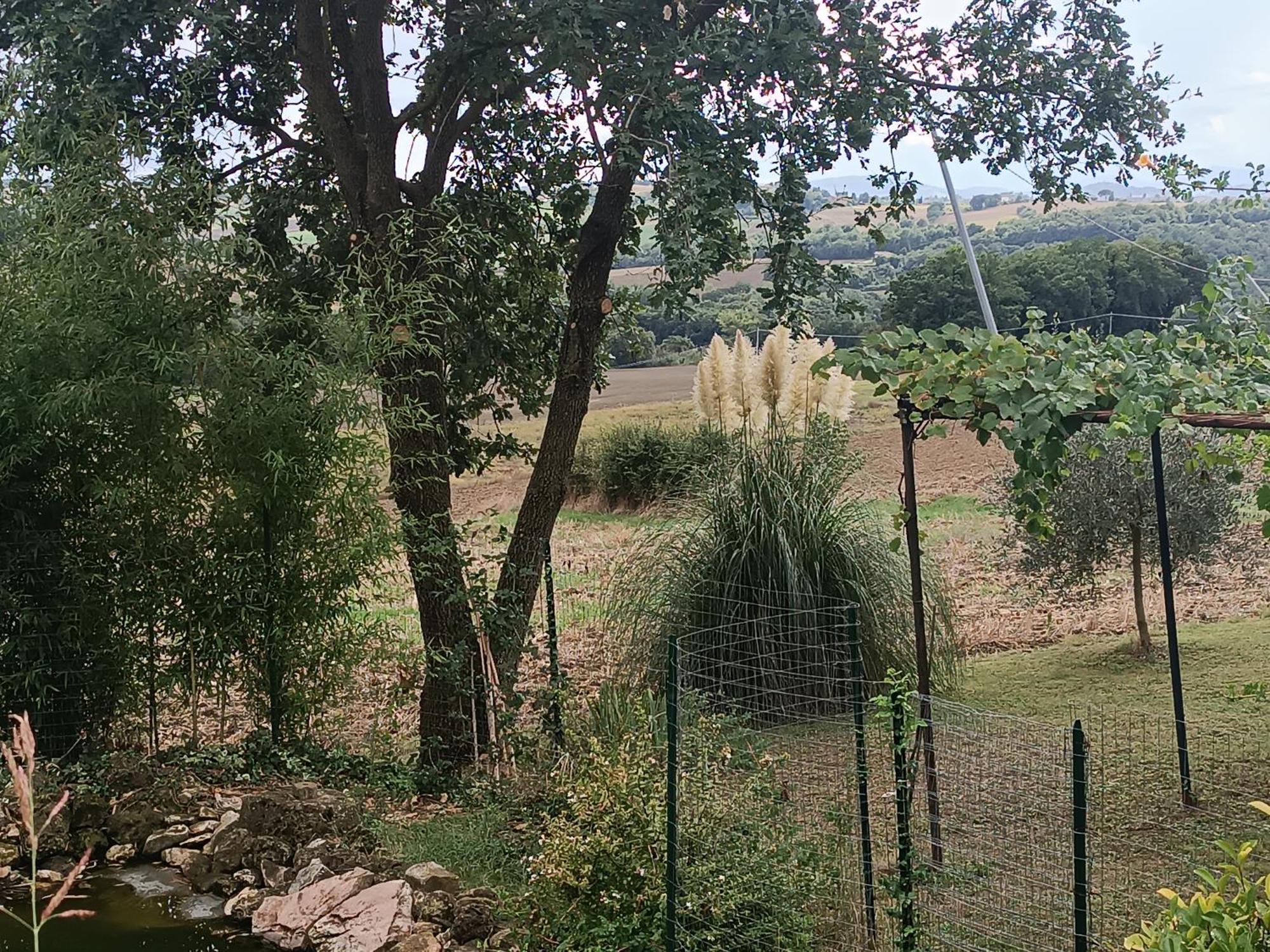 La Piccola Fattoria Βίλα Τόντι Εξωτερικό φωτογραφία