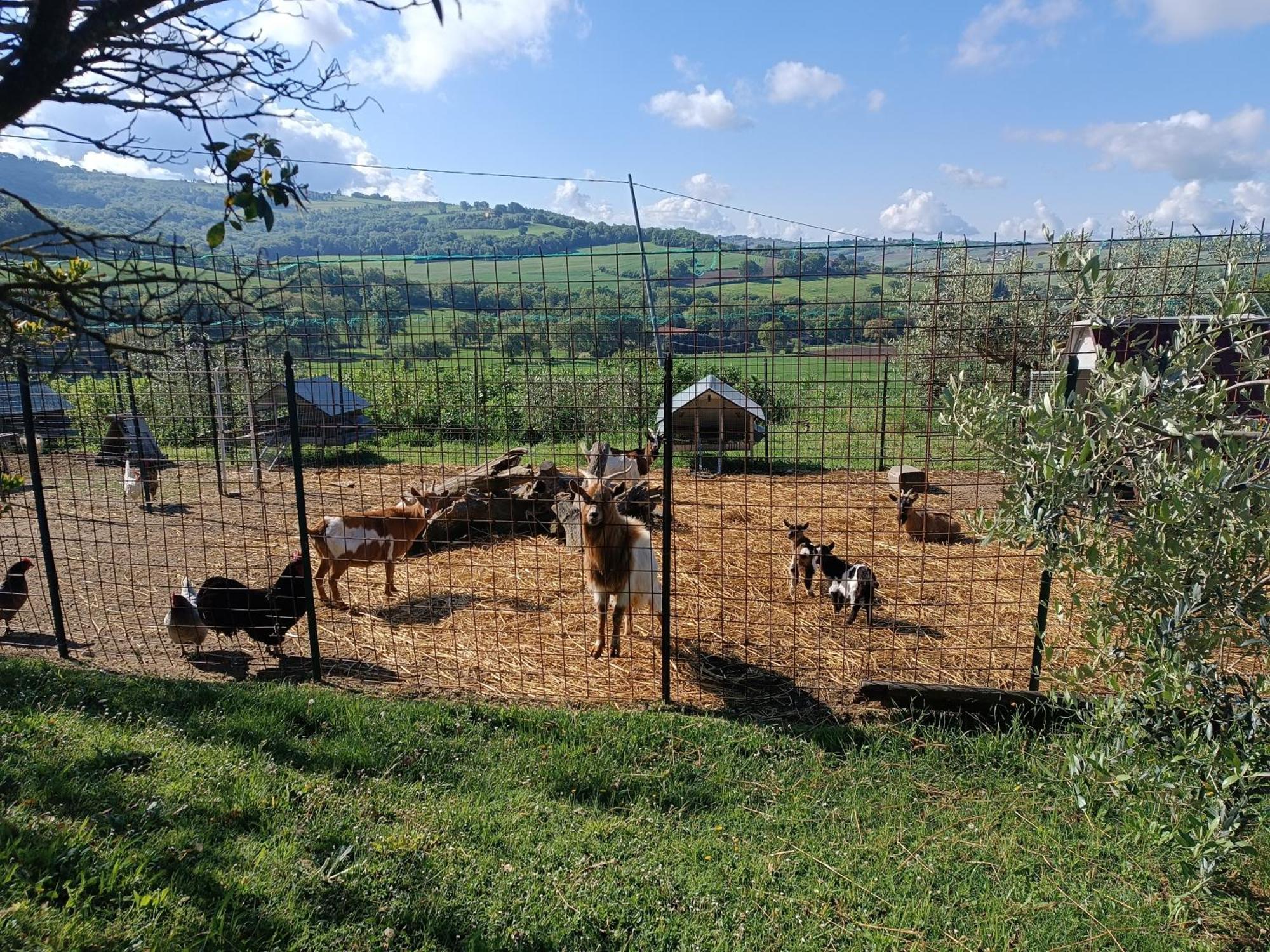 La Piccola Fattoria Βίλα Τόντι Εξωτερικό φωτογραφία