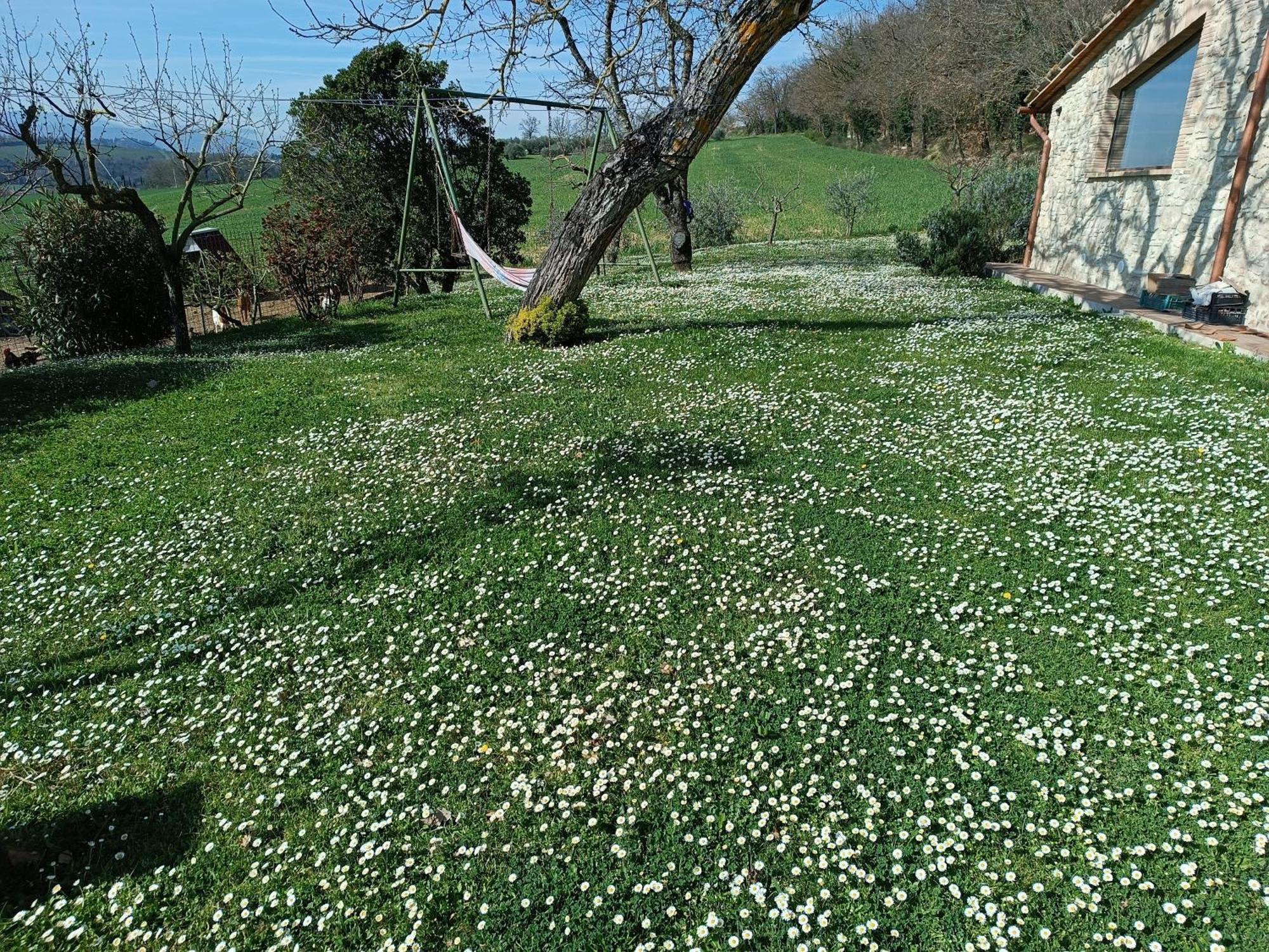 La Piccola Fattoria Βίλα Τόντι Εξωτερικό φωτογραφία